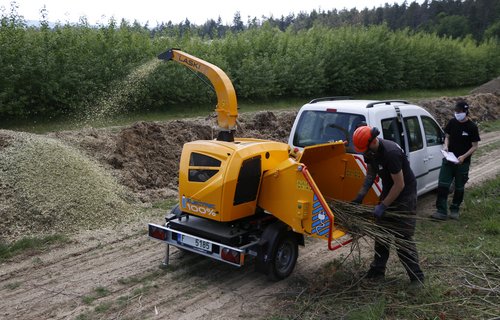 Scheibenhacker bis 16 cm Stammholzdicke, Elektro-Motor